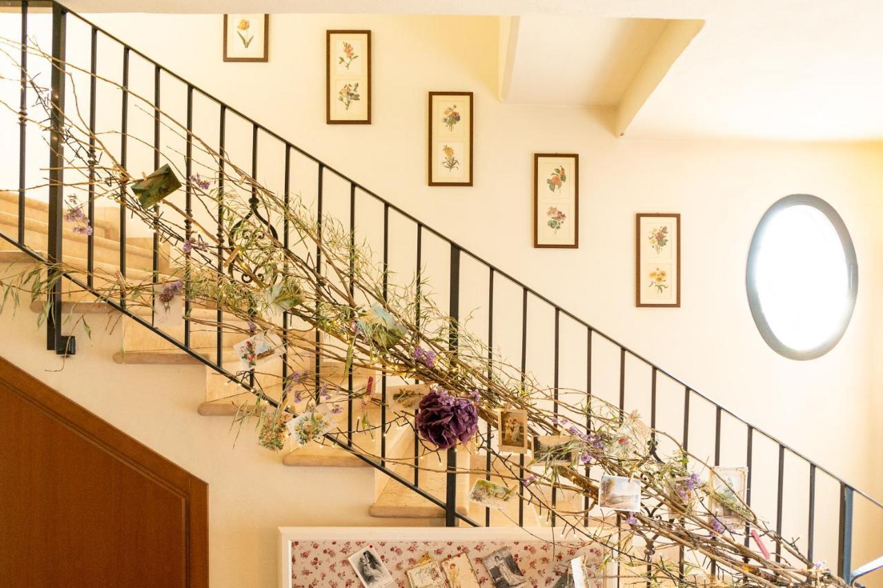 Agriturismo Ca Nuova Minerbio ภายนอก รูปภาพ