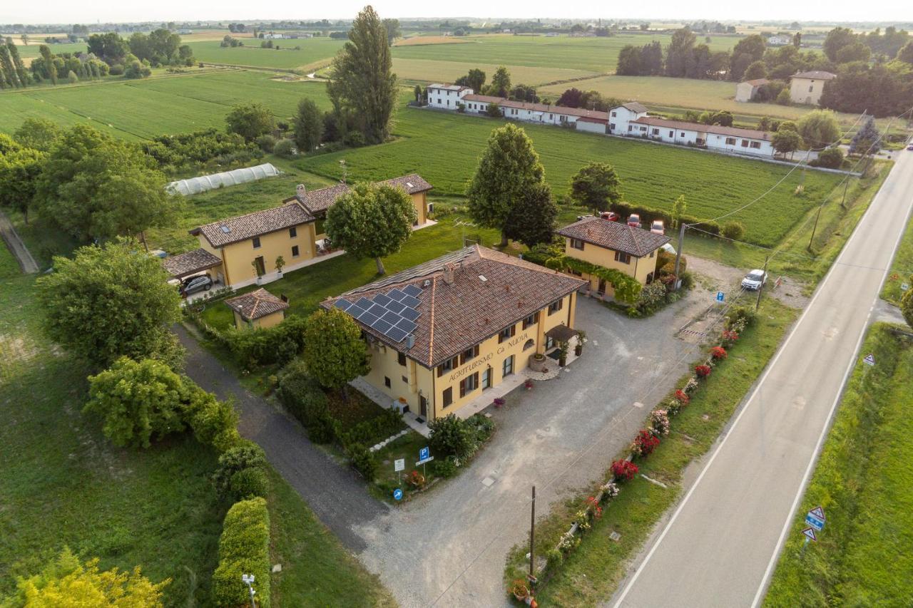 Agriturismo Ca Nuova Minerbio ภายนอก รูปภาพ