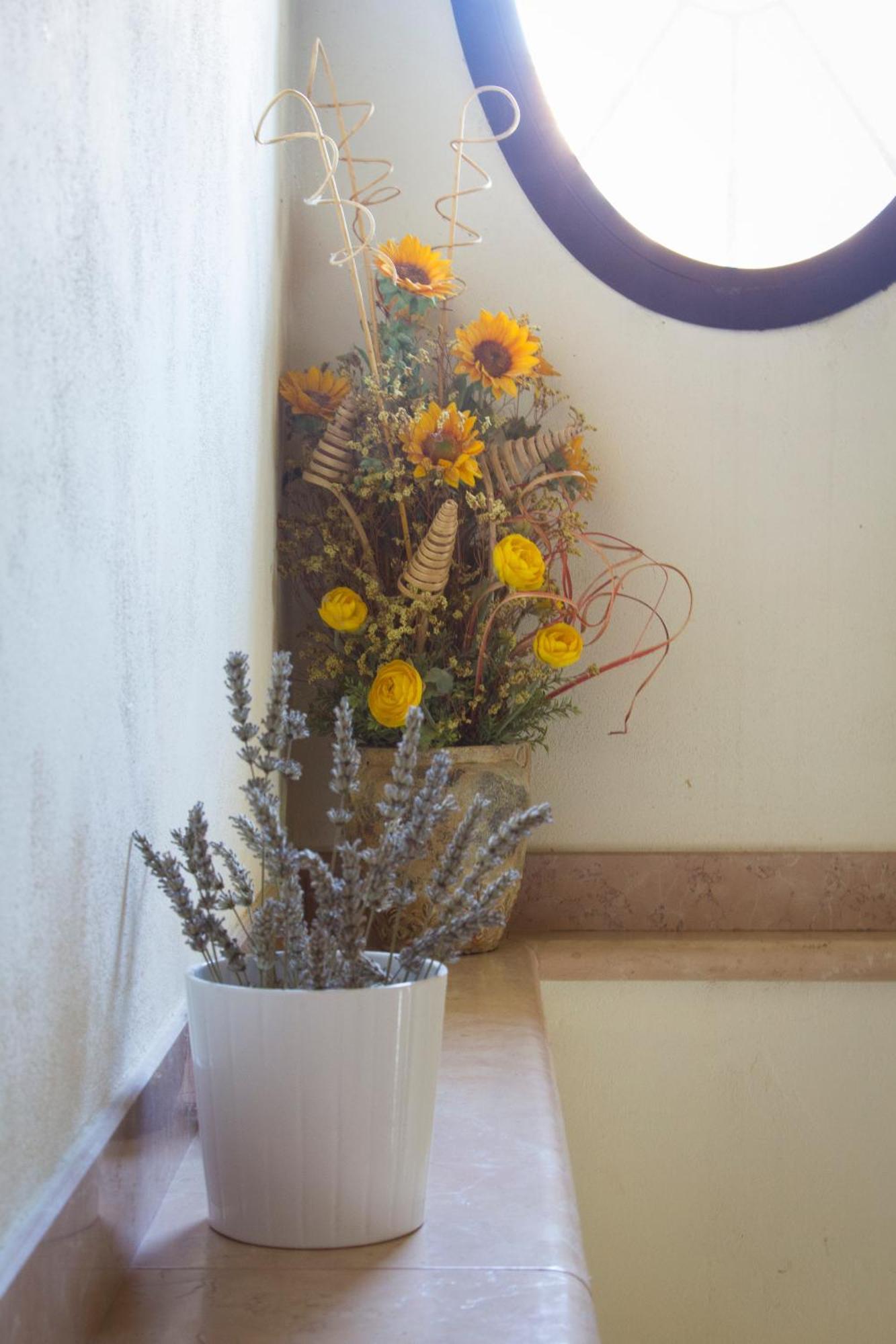 Agriturismo Ca Nuova Minerbio ภายนอก รูปภาพ