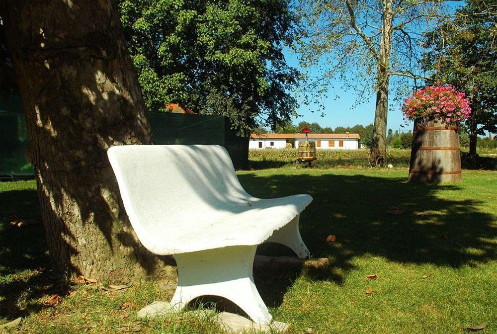 Agriturismo Ca Nuova Minerbio ภายนอก รูปภาพ